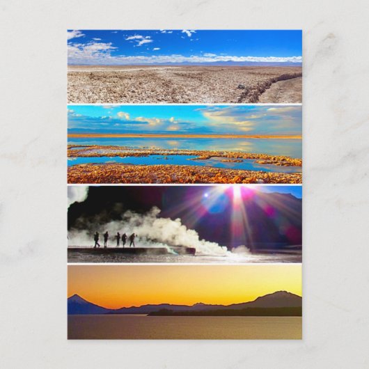 チリ・パルケス ポストカード (正面)