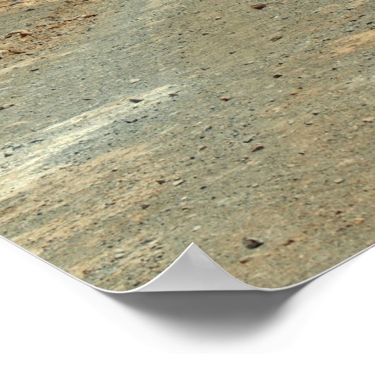 チリ ポスター (角)