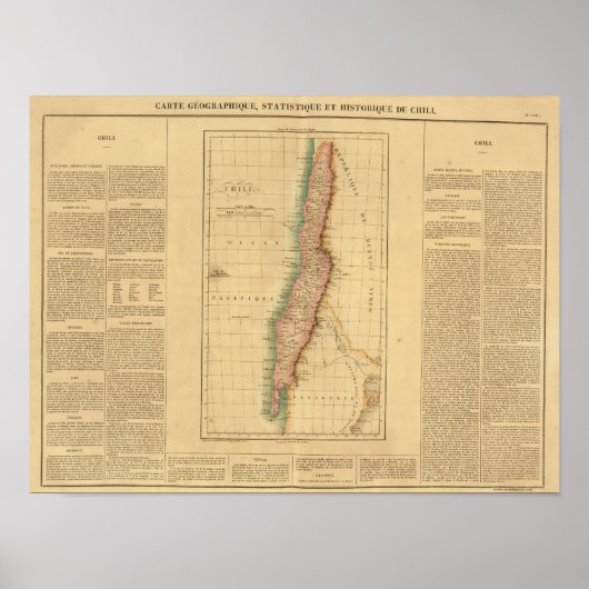 チリ ポスター (正面)