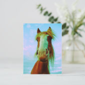 チリ ポストカード (スタンド正面)