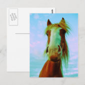 チリ ポストカード (正面/裏面)