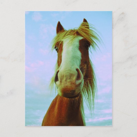 チリ ポストカード (正面)