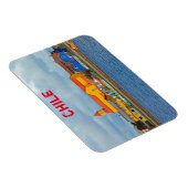 チリ・マウリン マグネット (右側)