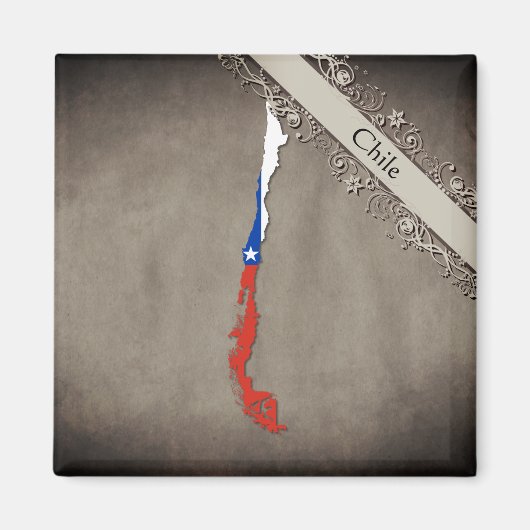 チリ マグネット (正面)