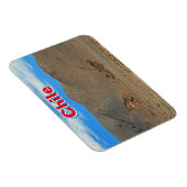 チリ マグネット (右側)