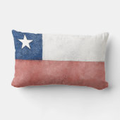 チリ ランバークッション (裏面)