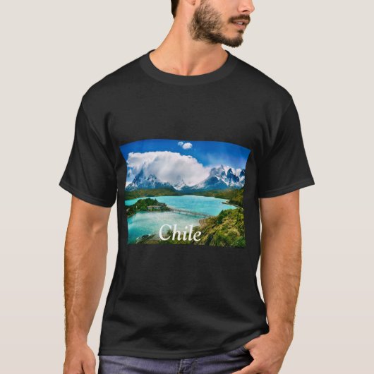 チリ Tシャツ (正面)