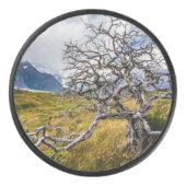 チリ、Torres del Paine、Burnt tree アイスホッケーパック (正面)