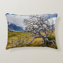 チリ、Torres del Paine、Burnt tree アクセントクッション