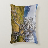 チリ、Torres del Paine、Burnt tree アクセントクッション (正面(垂直))