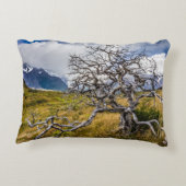 チリ、Torres del Paine、Burnt tree アクセントクッション (裏面)