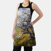 チリ、Torres del Paine、Burnt tree エプロン (インサイチュ)