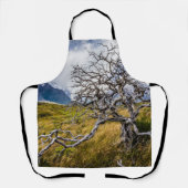 チリ、Torres del Paine、Burnt tree エプロン (正面)