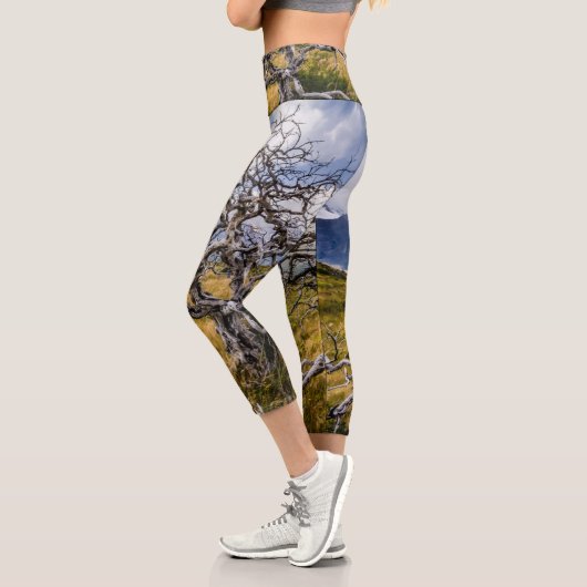 チリ、Torres del Paine、Burnt tree カプリレギンス (左)