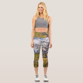 チリ、Torres del Paine、Burnt tree カプリレギンス (正面)