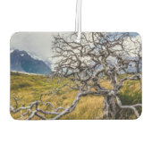 チリ、Torres del Paine、Burnt tree カーエアーフレッシュナー (裏面)