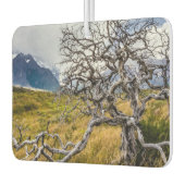 チリ、Torres del Paine、Burnt tree カーエアーフレッシュナー (左)