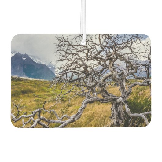 チリ、Torres del Paine、Burnt tree カーエアーフレッシュナー (正面)