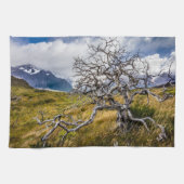チリ、Torres del Paine、Burnt tree キッチンタオル (横)