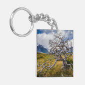 チリ、Torres del Paine、Burnt tree キーホルダー (正面左)