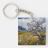 チリ、Torres del Paine、Burnt tree キーホルダー (正面)
