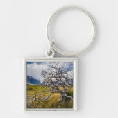 チリ、Torres del Paine、Burnt tree キーホルダー (正面)