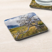 チリ、Torres del Paine、Burnt tree コースター (左側)