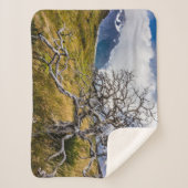 チリ、Torres del Paine、Burnt tree シェルパブランケット (正面)