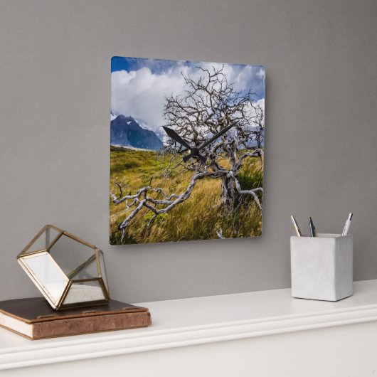 チリ、Torres del Paine、Burnt tree スクエア壁時計 (オフィス)