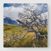チリ、Torres del Paine、Burnt tree スクエア壁時計 (正面)