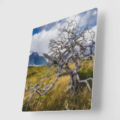 チリ、Torres del Paine、Burnt tree スクエア壁時計 (傾斜)