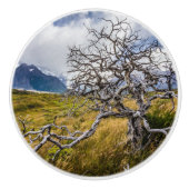 チリ、Torres del Paine、Burnt tree セラミックノブ (正面)