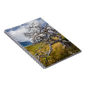 チリ、Torres del Paine、Burnt tree ノートブック (右側)