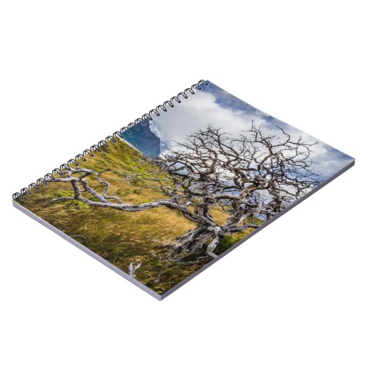 チリ、Torres del Paine、Burnt tree ノートブック (左側)