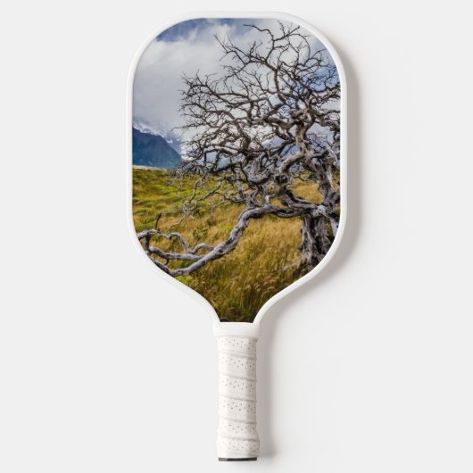 チリ、Torres del Paine、Burnt tree ピックルボールラケット (正面)