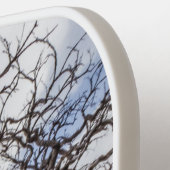 チリ、Torres del Paine、Burnt tree ピックルボールラケット (左詳細)