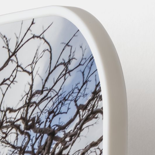 チリ、Torres del Paine、Burnt tree ピックルボールラケット (左詳細)