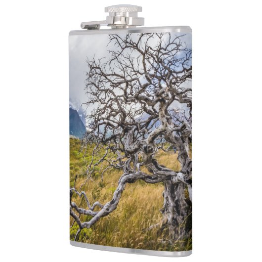 チリ、Torres del Paine、Burnt tree フラスク (左)
