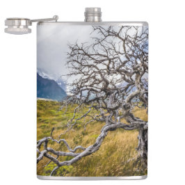 チリ、Torres del Paine、Burnt tree フラスク