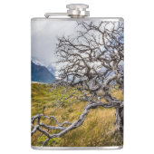 チリ、Torres del Paine、Burnt tree フラスク (正面)