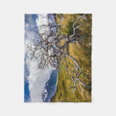 チリ、Torres del Paine、Burnt tree フリースブランケット (正面)