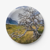 チリ、Torres del Paine、Burnt tree ペーパープレート (正面)