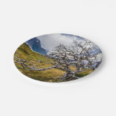 チリ、Torres del Paine、Burnt tree ペーパープレート (アングル)