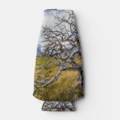 チリ、Torres del Paine、Burnt tree ボトルクーラー (正面)