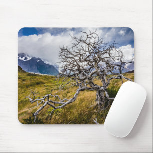 チリ、Torres del Paine、Burnt tree マウスパッド