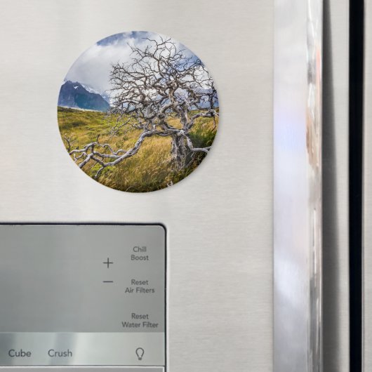 チリ、Torres del Paine、Burnt tree マグネット (インサイチュ (冷蔵庫))