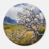 チリ、Torres del Paine、Burnt tree マグネット (正面)