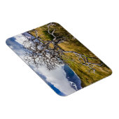 チリ、Torres del Paine、Burnt tree マグネット (右側)