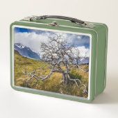 チリ、Torres del Paine、Burnt tree メタルランチボックス (正面)
