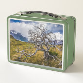 チリ、Torres del Paine、Burnt tree メタルランチボックス (裏面)